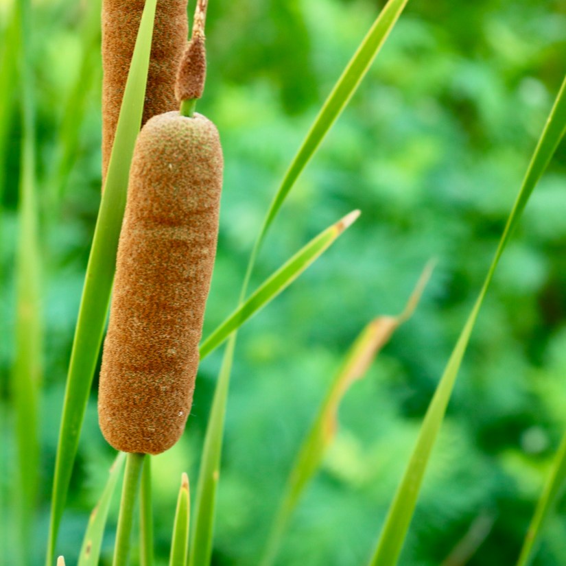 26F02B1A-69B7-4AAB-8EA2-736C1FE7F81C