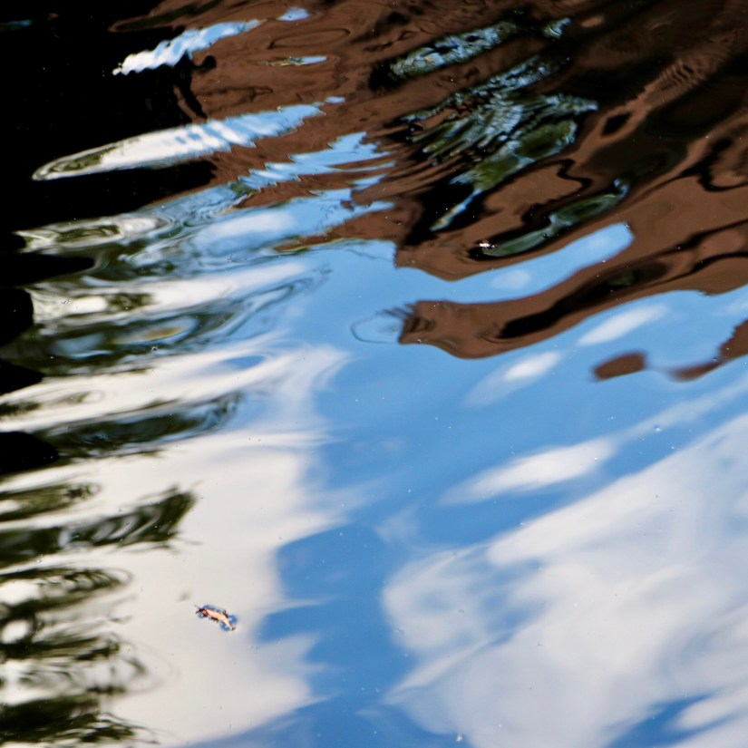 4C64DDCE-9D8E-45AF-83E6-FA224D6905C0