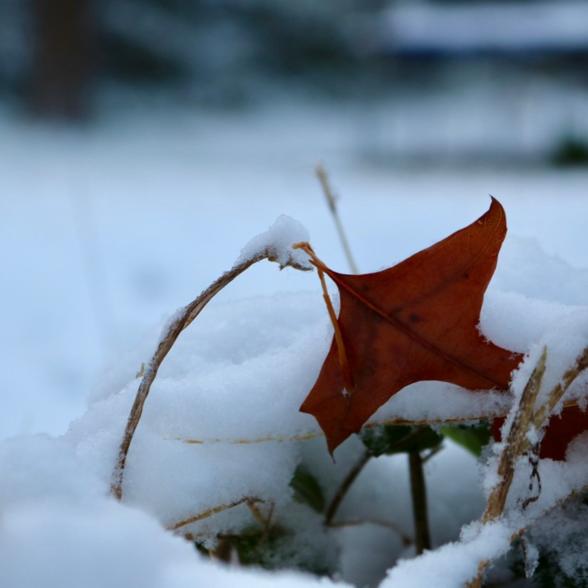 6190DD64-1E9B-4DBC-9BC4-DC25A6FF3AF8