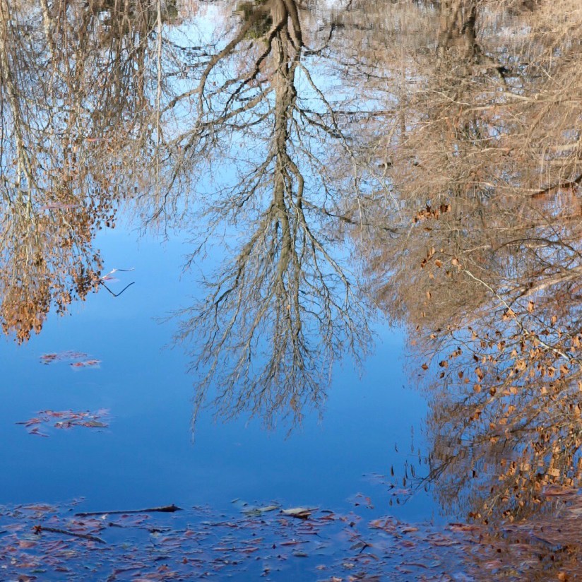 13FAAEF3-6189-4844-A284-65A27F759C39