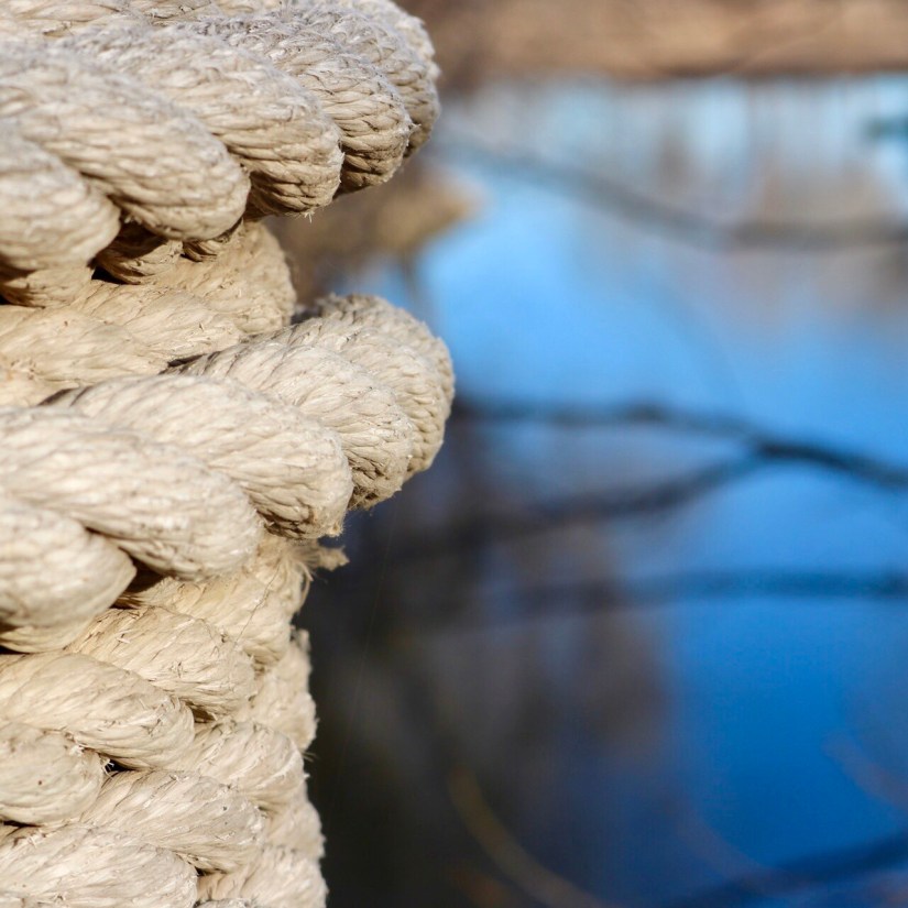 3076C3CA-BD25-415F-B503-5BE4CFD21EB2