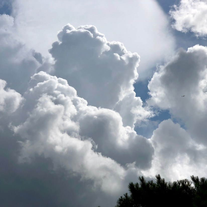 37B453F5-67ED-4421-A5FA-5799F84FE61E