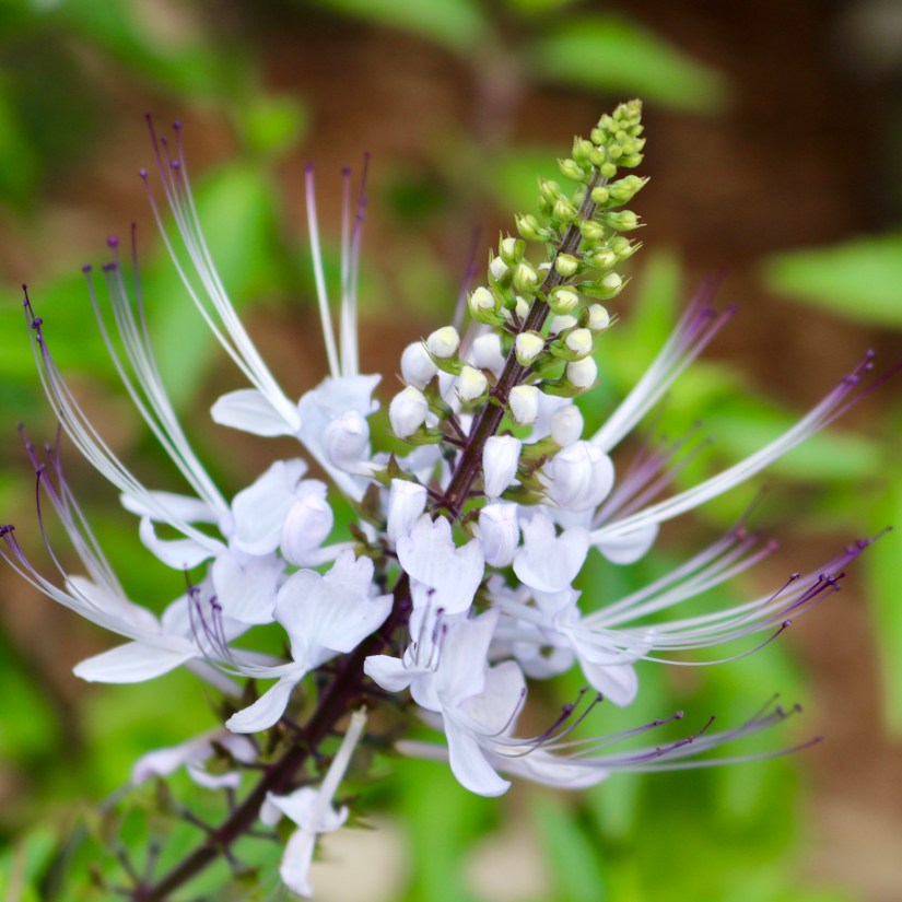 3AA76A68-5E46-4CA5-B01B-4EC5480633E4