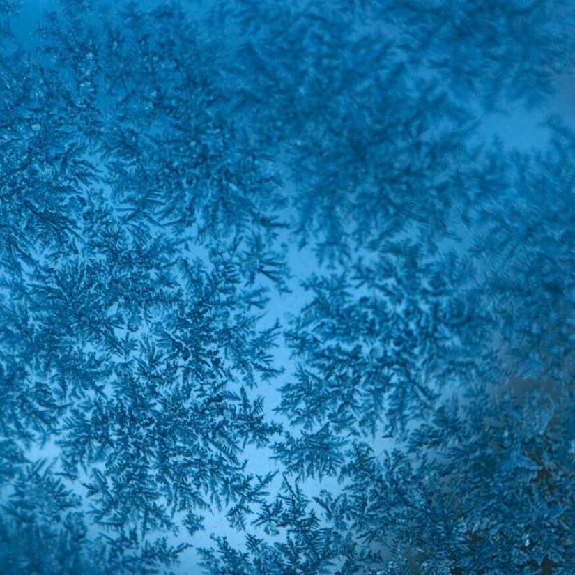 9ECD8074-5780-4740-8922-0719871C6BE8