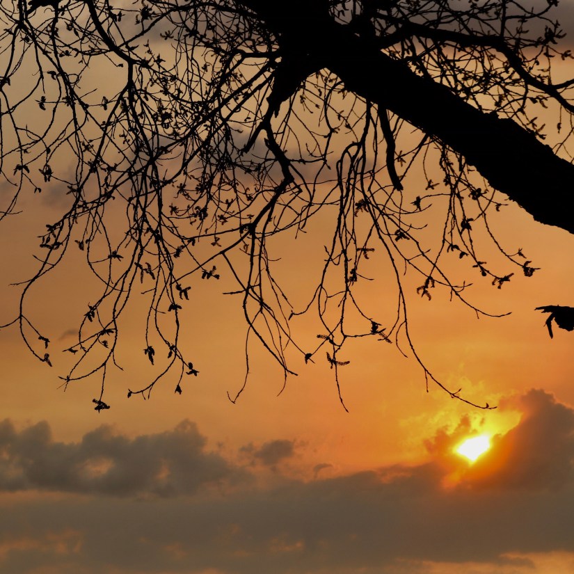 B8E69DB2-C371-4062-B22B-9B632F5AC6DF