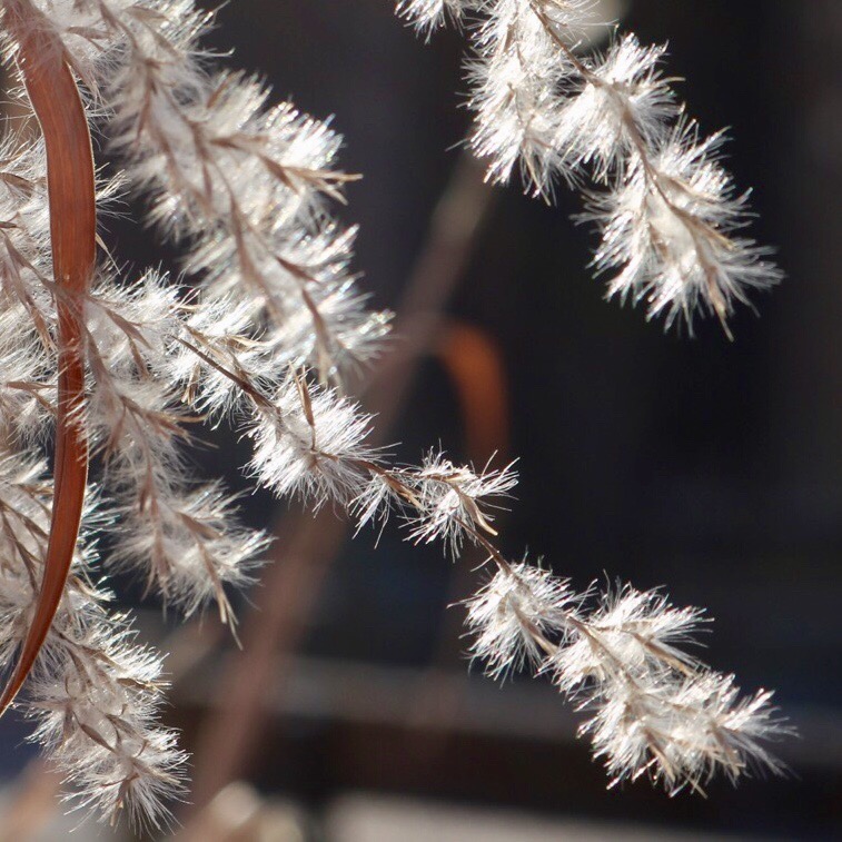 EE0E536A-1D08-4E6B-9BEB-168AB5FCBC72