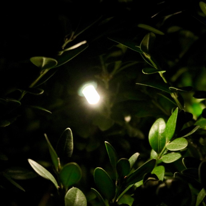 EFA4E428-EE53-4762-891D-65F279B5FC66