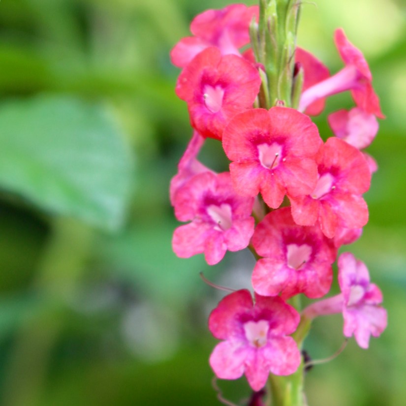 A1BDA856-9CF3-449A-A391-DCB42211CEFD