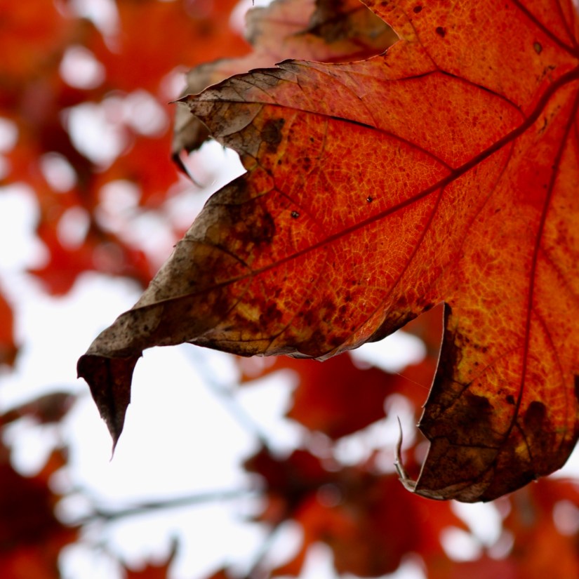 D744CE58-0C63-457C-9442-21562AC1425E