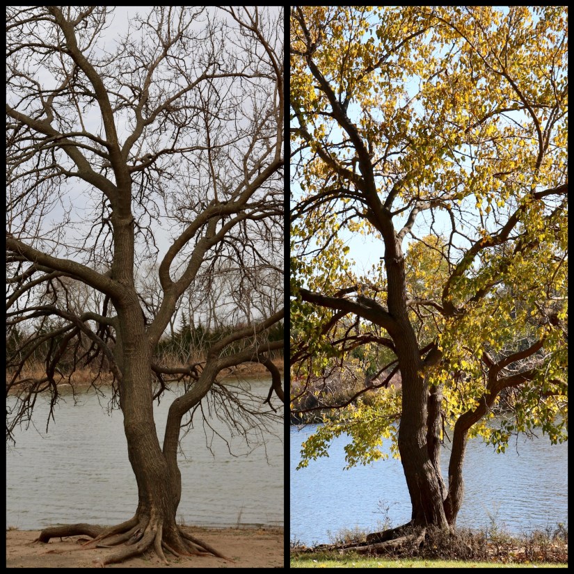 F74E2C6D-8F18-4AE0-9530-E5923DD13DCB