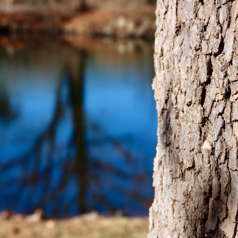 023325E7-46FE-482A-9FC8-A1566567209F