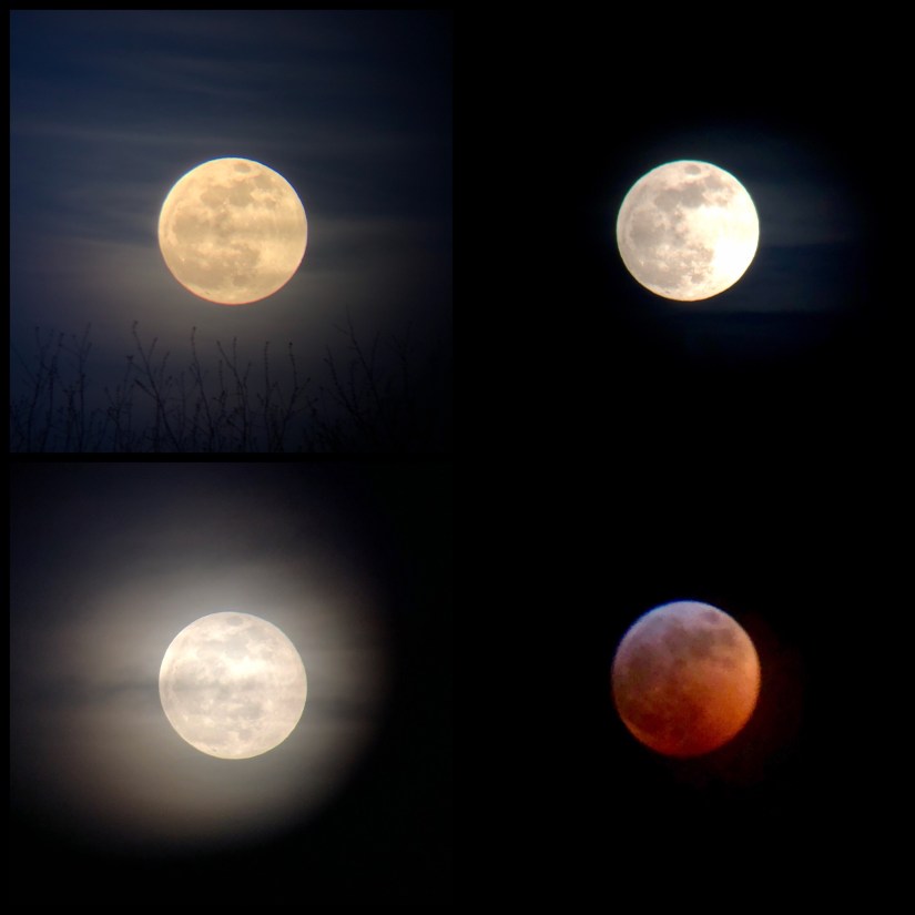 09b68365-a001-4c14-97ac-f8d32eeb0402