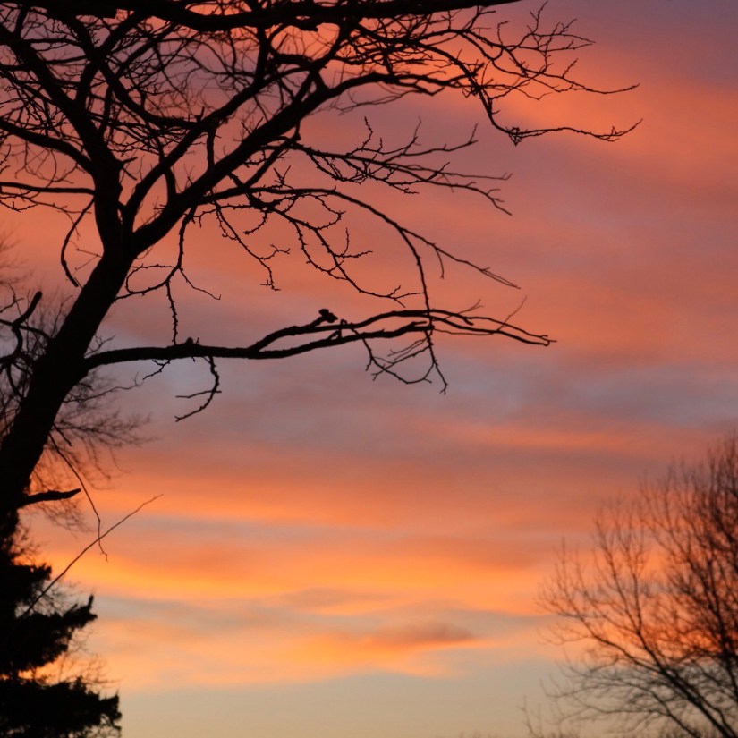 4c454127-3e20-4e61-9684-80ce2e4c22ea