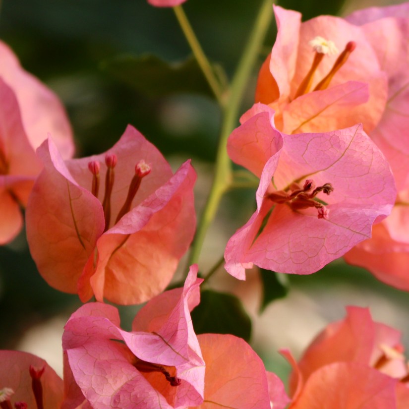 5a09949f-a184-4a48-91e2-8b235d595988