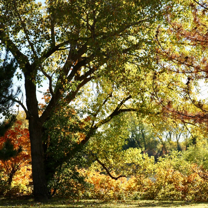 756b6e42-04f1-48ef-9ffa-108c9b386341