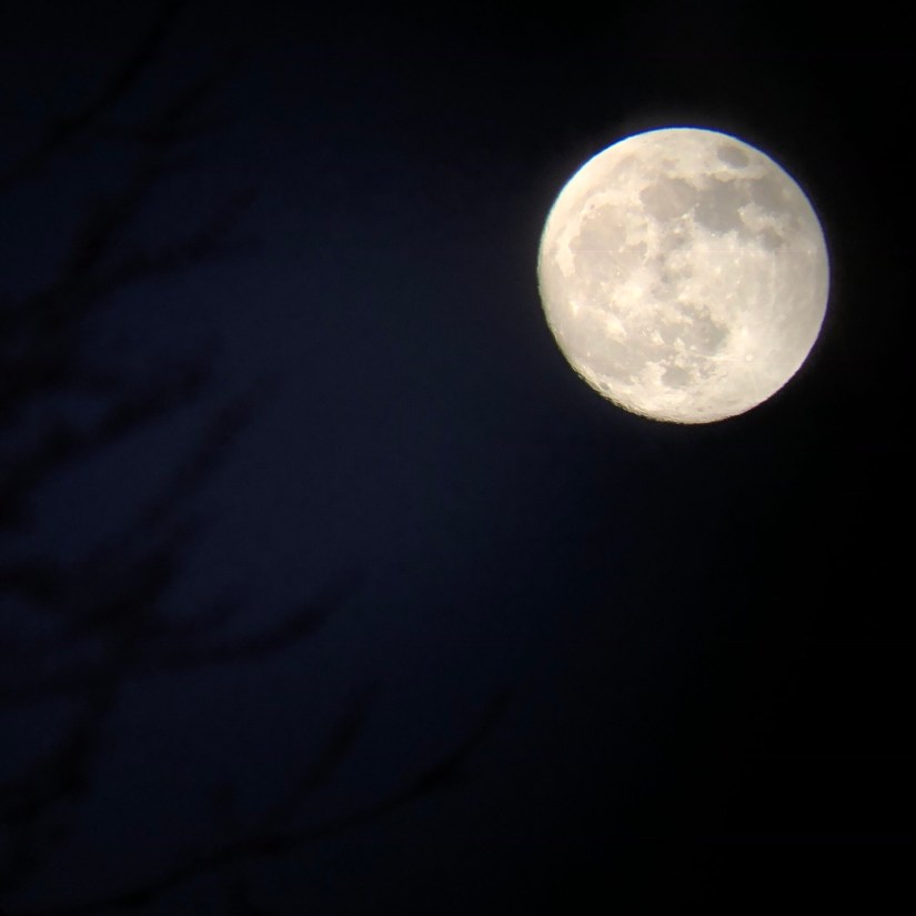 8ed088c7-f6dd-42cd-ad17-9db91c58fc7d