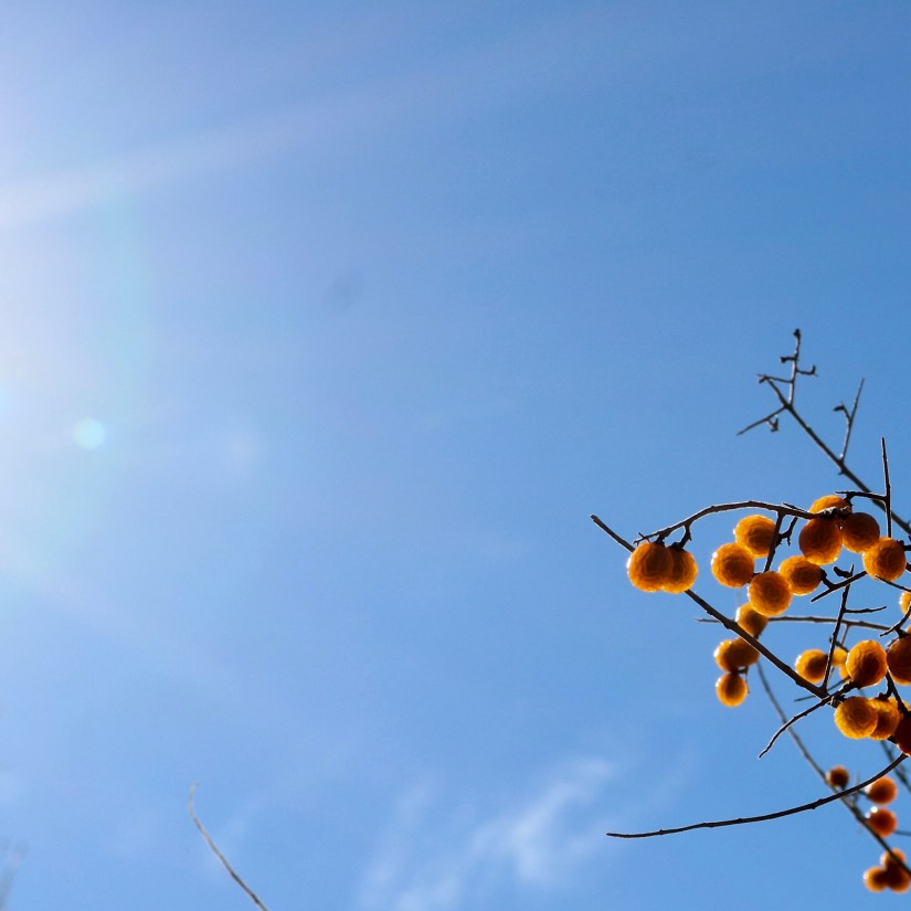 adf01750-8324-4b17-8a9a-dda67260d3a6