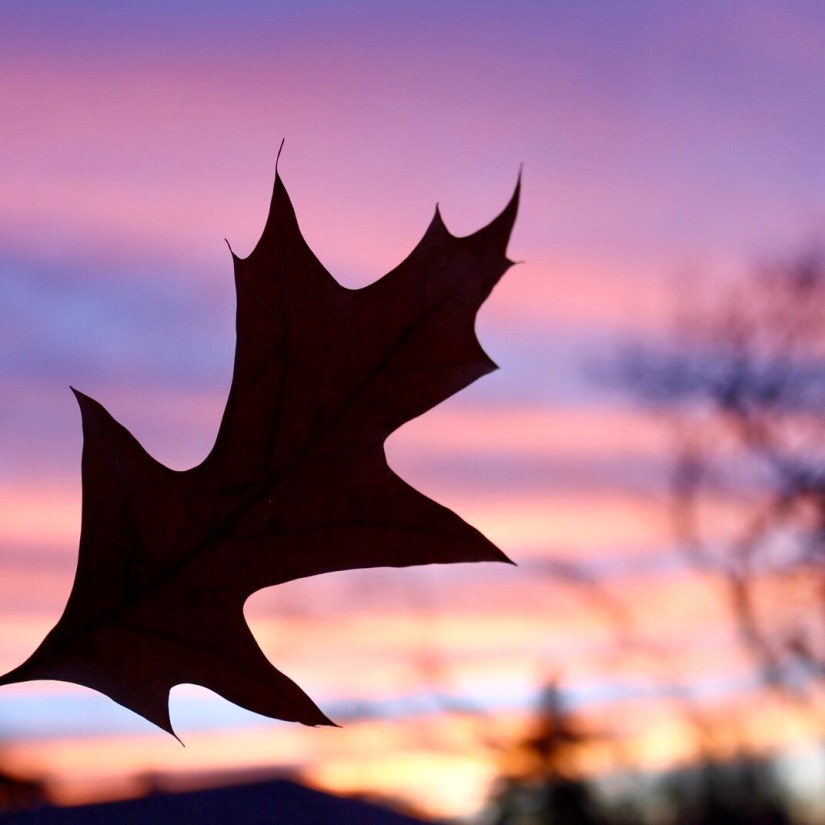 b28a5578-3bc6-4cb7-9a67-dd7fcc2e5acd