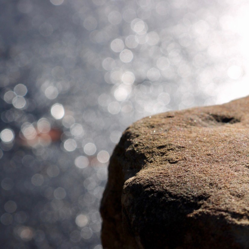 b8de05e1-10e2-44a7-baa6-6f6432ce7c2b