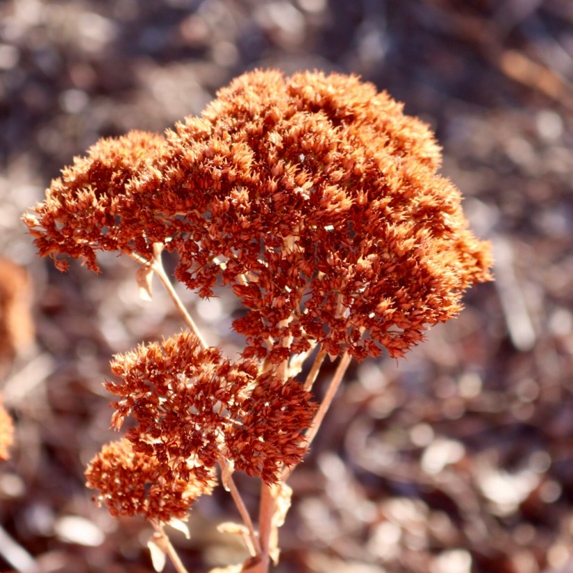 bdfd3b6e-3d96-4d3f-affe-f0dc5ac2a681