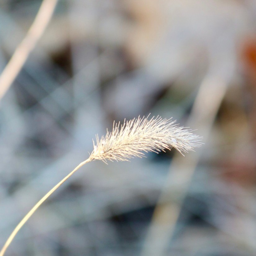 f603a304-4870-468e-acdf-58711e2a7c8c