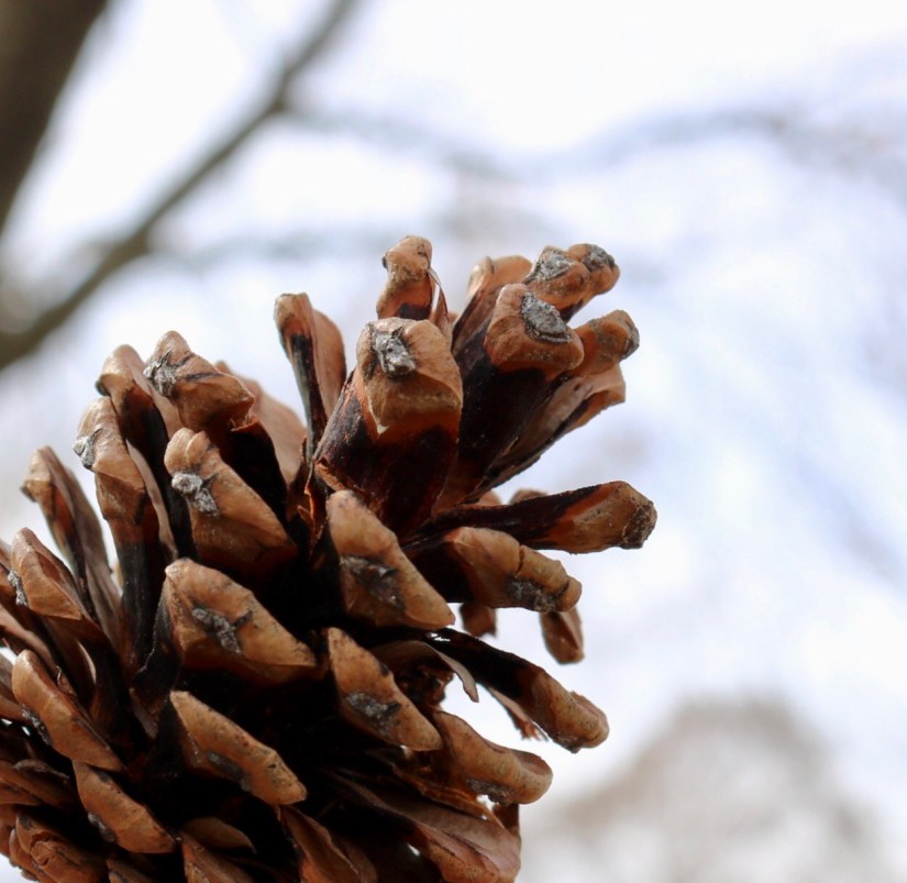 07A7B9B4-53E2-40A1-BCB4-24A6E3D0BFC0