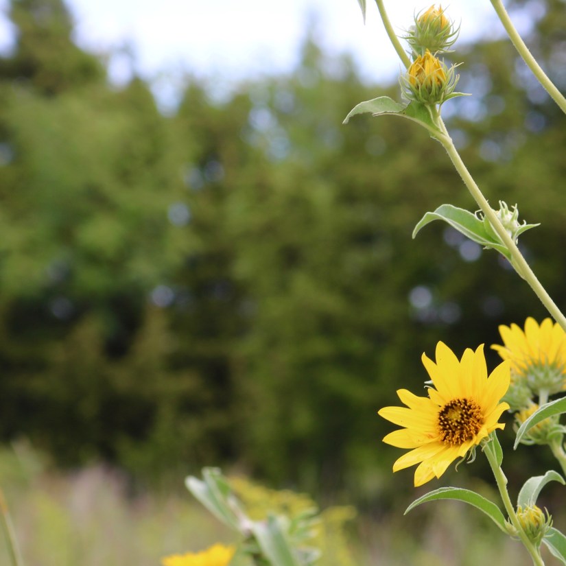 2F5FB1C1-D700-4905-AD3B-B94913262C6D