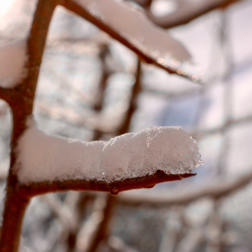 6E4DC8E6-E004-45DA-86A5-17376C508DC9