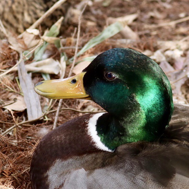 781F3CA8-1594-46F9-9047-4E74883ED501