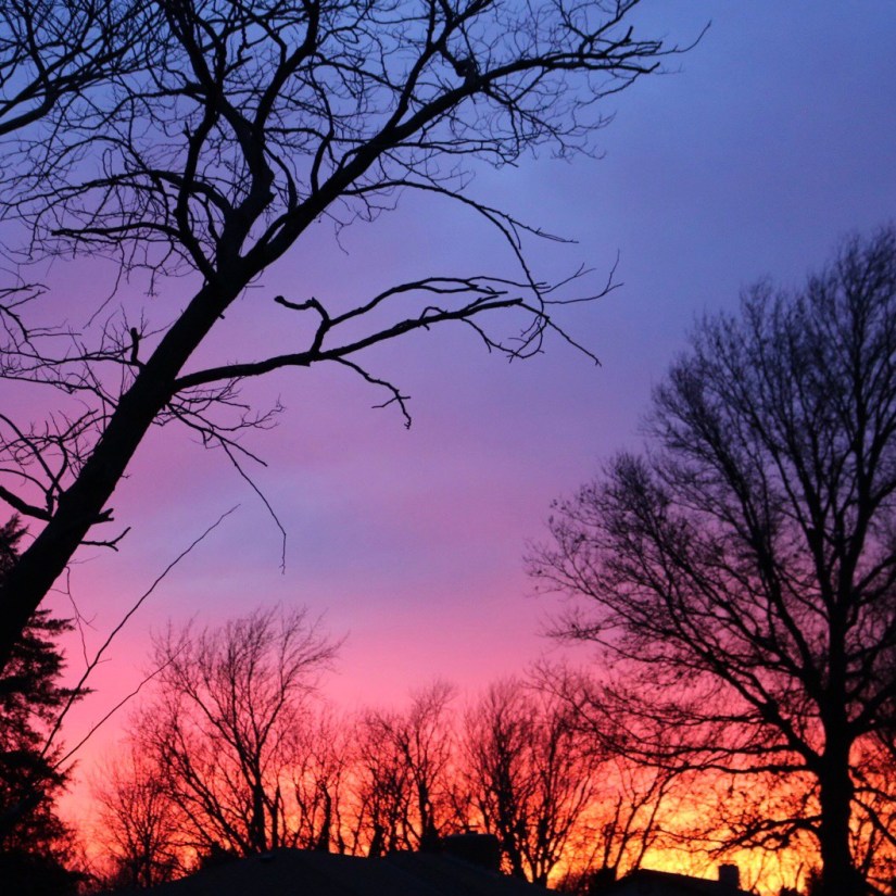 9EA784E7-8118-41BF-B4AA-2A05AC80C536