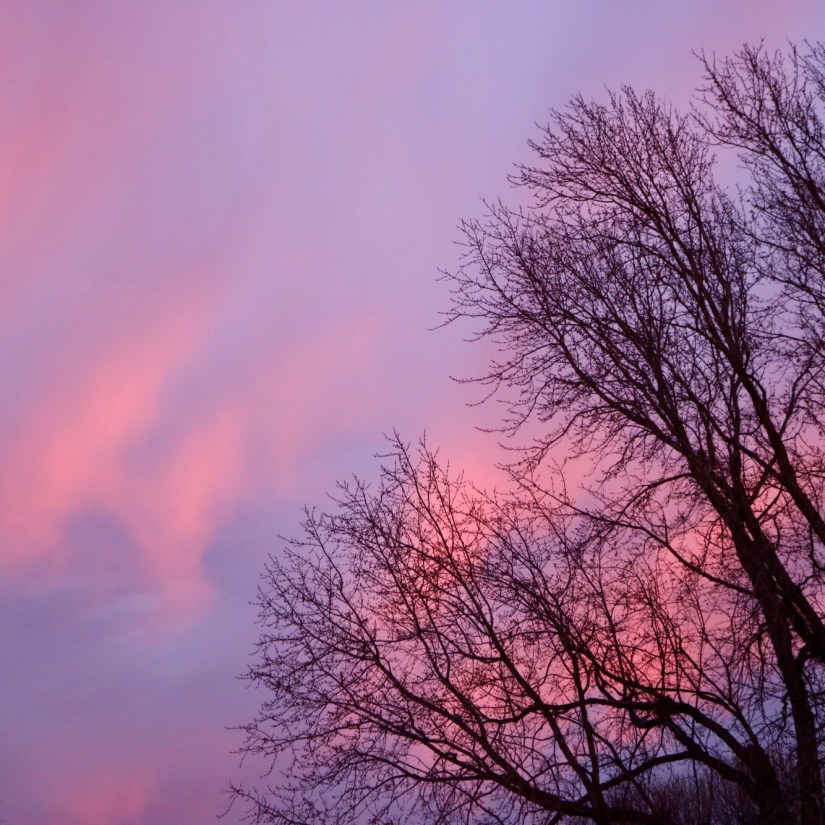 A19939A4-0FD0-41EE-997D-F46E78D608A1