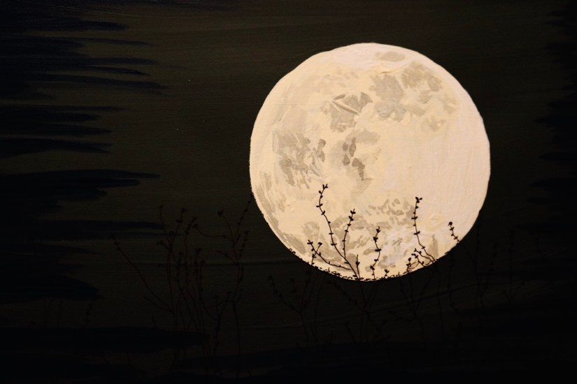 C527B045-3695-463A-B803-9C191C11695E