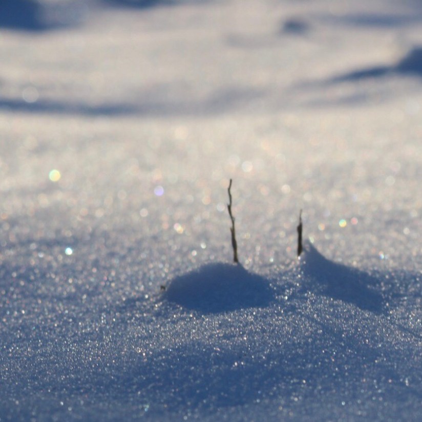 FA2DA078-37FB-4E3E-B51C-2CEDFC6C05AE