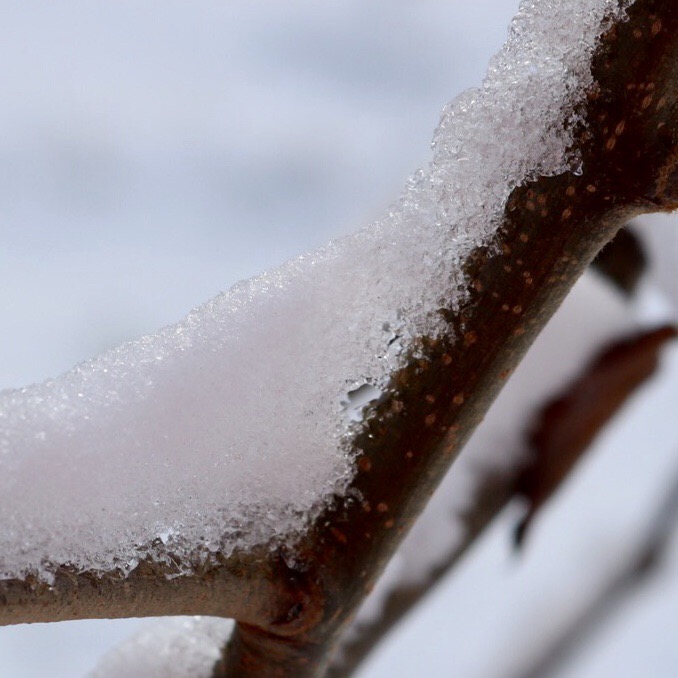 25F0268A-5AB9-4A23-B37E-C4B8F1491134