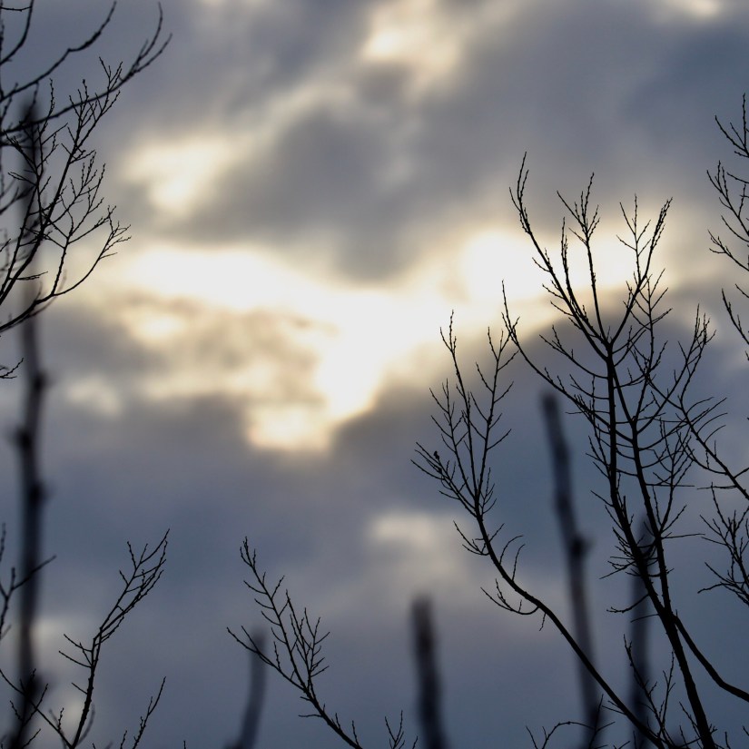 396E175E-BDF7-4C85-AA38-FCC829C0C76A