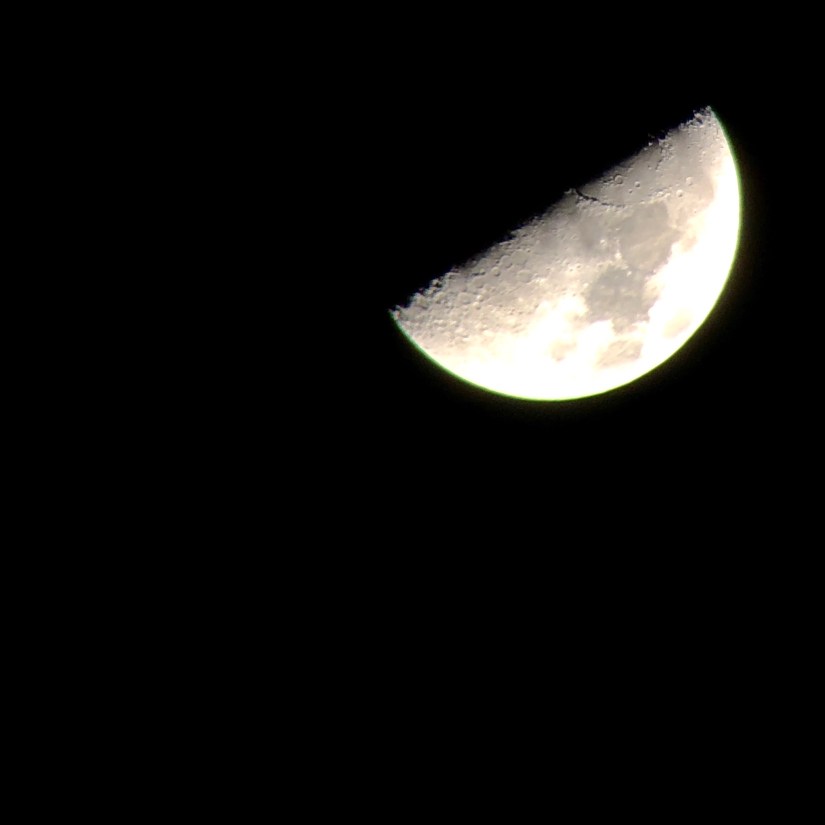 4317F713-5EB7-478D-8EE5-6E3B12CDBD7A