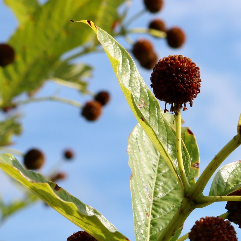 6F2E222B-D6B4-461A-8488-2E2AFF950097