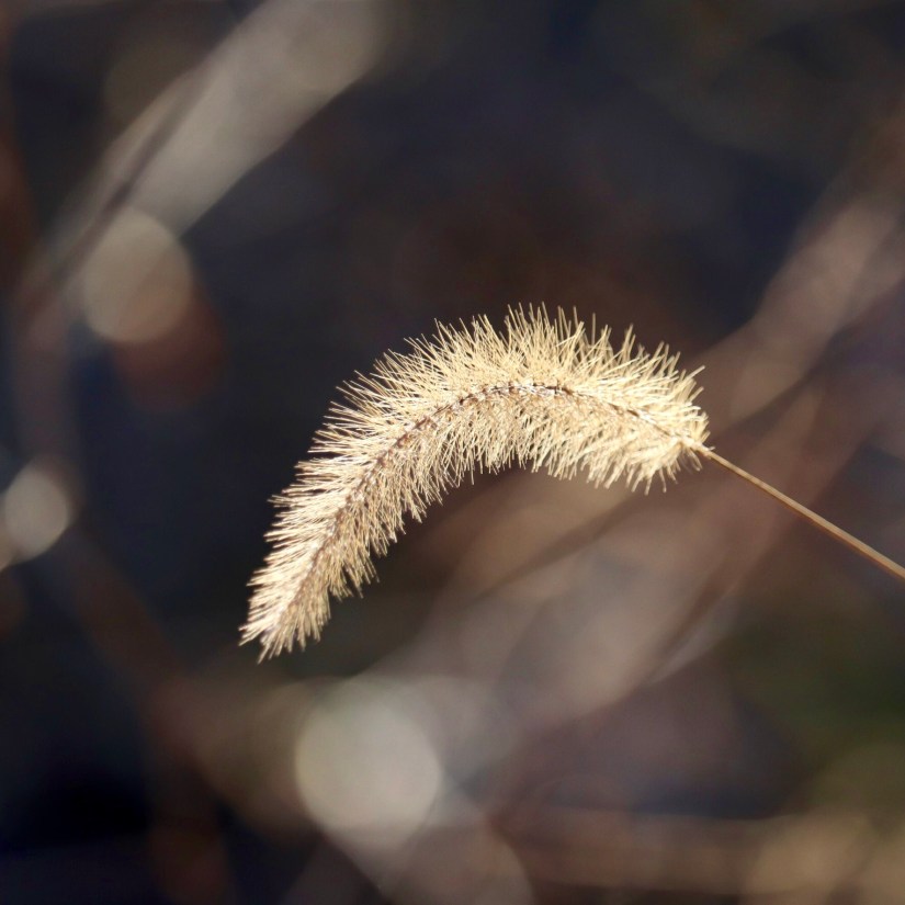 AC5EF6E6-3CFC-4690-89BC-29E3202198F8