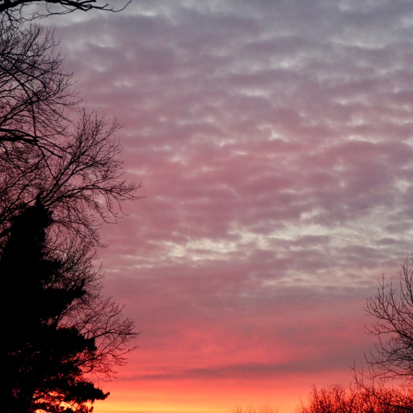 B5270C9F-08AD-4B0E-8C97-37D13FF70DAF