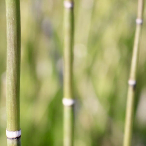 EAB3451C-0946-476B-8034-5590A8850E9A