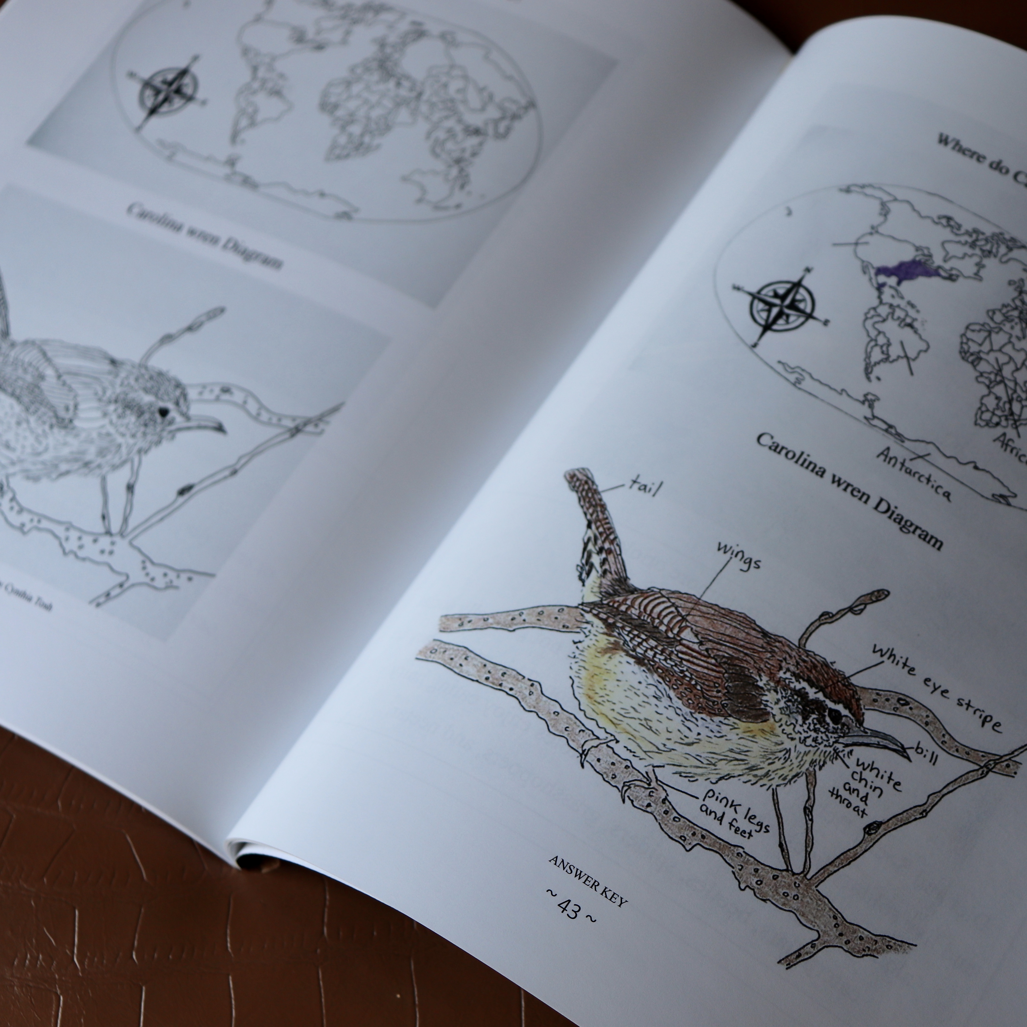 10751247376-IMG-5988