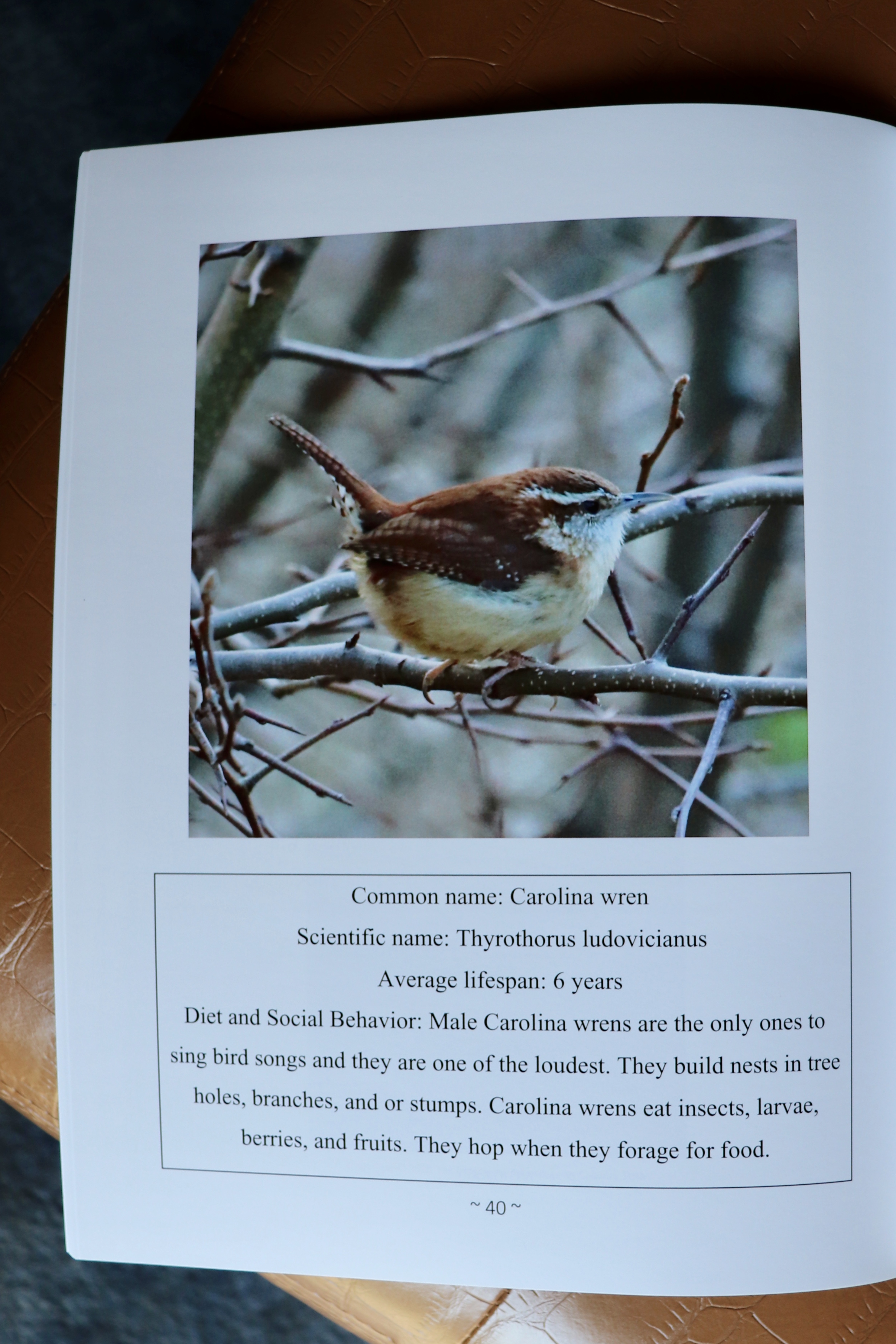 10751247376-IMG-6001